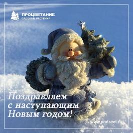 ПОЗДРАВЛЯЕМ С НАСТУПАЮЩИМИ ПРАЗДНИКАМИ ПОЗДРАВЛЯЕМ С НАСТУПАЮЩИМИ ПРАЗДНИКАМИ
